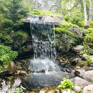 Meet your Posher, Alison